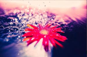 Billede fra billedgalleriet på The Nature Uno i Tamano