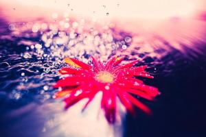 Billede fra billedgalleriet på The Nature Uno i Tamano