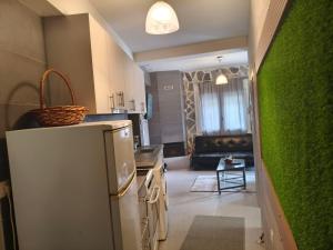 a kitchen with a refrigerator and a green wall at peramalux in Ioannina
