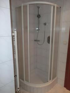 a shower with a glass door in a bathroom at Haus Pranger in Gschnitz