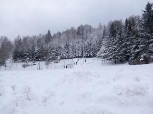 Apartament między Strumykami v zimě