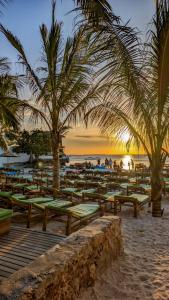 a beach with a bunch of tables and palm trees at Joujo's Jungle Guest House in Nungwi