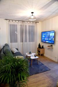 a living room with a couch and a flat screen tv at Confortable studio avec jardin in Saint-Doulchard