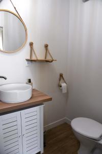 a bathroom with a white sink and a mirror at Confortable studio avec jardin in Saint-Doulchard