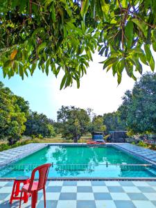 Bazén v ubytování The Gir Village Stay nebo v jeho okolí