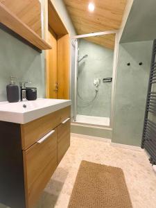 Et badeværelse på FeWo Froschkönig mit Sauna, GRATIS Skifahren dank Königscard, Bergblick, WLAN, Parkplatz + 30 billeder