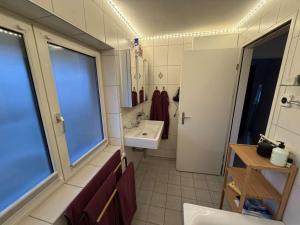 een kleine badkamer met een wastafel en een spiegel bij Centurio 5 in Baselaugst +16 foto's