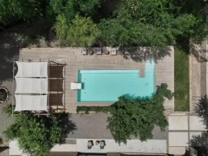 中卫大乐之野（中卫黄河宿集店）的享有树木游泳池的顶部景致