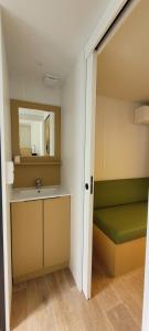 een badkamer met een wastafel en een spiegel bij Studiotel premium 2 personnes in Pamiers +18 foto's