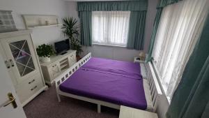 a bedroom with a purple bed and a window at Ferienwohnung Bergstraße Hammermühle in Bad Düben