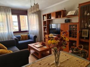 a living room with a vase of flowers on a table at Ca'Oviedo in Oviedo