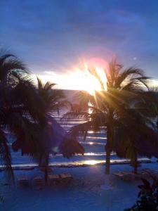 un grupo de palmeras en una playa con puesta de sol en Hacienda del Mar Resort Condominio 205, en Cancún
