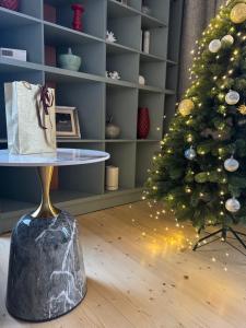 Fotografie z fotogalerie ubytování Girske Povitria Apartments v destinaci Jaremče