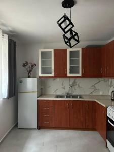 een keuken met een witte koelkast en houten kasten bij Dafni Apartment Kozani in Kozani