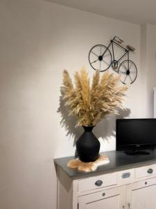 Et tv og/eller underholdning på L'Air Marin