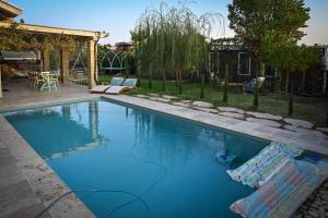 a swimming pool with chairs in a backyard at בקתת שקד Shaked Cabin in Natur