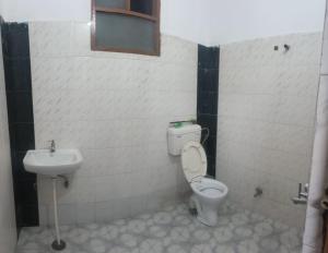 a bathroom with a toilet and a sink at Vishwanathan in Varanasi