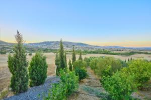 Foto dalla galleria di Dar Charkaoui a Tétouan
