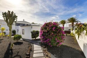 En have udenfor Kaizen Volcano Home