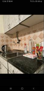 a kitchen counter with a sink and a counter top at Lily in Sremska Kamenica