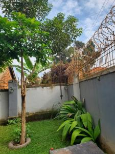 Zahrada ubytování EasyStay