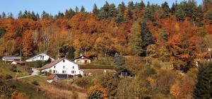 Naturlandskabet i nærheden af bed and breakfast-stedet