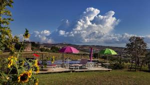 Naturlandskabet i nærheden af lejligheden