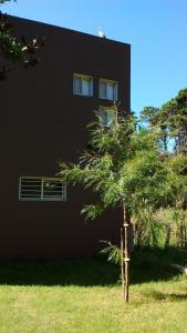 een zwart gebouw met een boom ervoor bij Jacaranda Mar Azul in Mar Azul +14 foto's