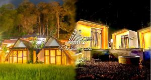 武吉丁宜BAMBOO Shack & BAMBOO Cabin的晚上,院子里的房子亮着灯