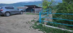 Naturlandskabet i nærheden af pensionatet + 2 billeder