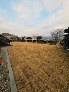 Naturlandskabet i nærheden af lodgen