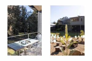 En have udenfor Murramarang Haven