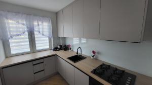 Kuchyň nebo kuchyňský kout v ubytování Hermes Sauna Jacuzzi