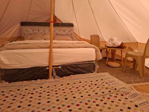 ESCAPE cAMp في Badīyah: غرفة نوم بسرير في خيمة +41 صورة