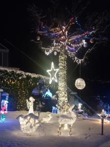 Fotografie z fotogalerie ubytování Joli studio avec terrasse et vue POUR NON FUMEURS v destinaci Belmont-sur-Lausanne