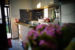 Nhà bếp/bếp nhỏ tại Bajka Koktel