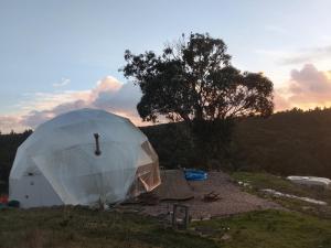 een witte tent in een veld met een boom bij Kurandero Temple in Bensafrim
