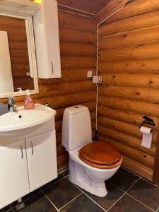 een badkamer met toilet en wastafel bij Øse Camping in Gratangen