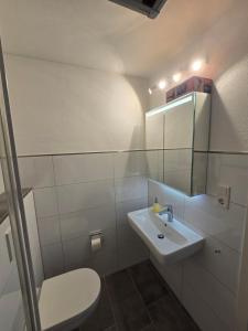 une salle de bains avec lavabo, toilettes et miroir dans l'établissement GreenHell Stays, à Adenau