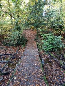 Ảnh trong thư viện ảnh của Gîte de Talen ở Saint-Gilles-du-Vieux-Marché