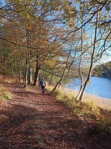 Ảnh trong thư viện ảnh của Gîte de Talen ở Saint-Gilles-du-Vieux-Marché