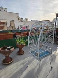 Bazén v ubytování Charming 2-Bedroom Apartment in the Heart of Sousse nebo v jeho okolí