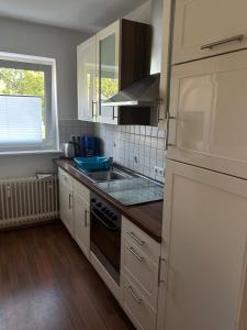a kitchen with a sink and a stove top oven at Daios in Wathlingen