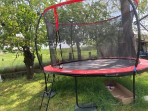 un trampolino nell'erba in un cortile di Landhaus in den Weinbergen  Altre 13 foto
