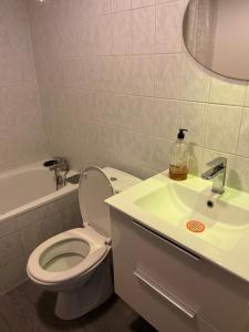 a bathroom with a toilet and a sink at Square Walliser près ZENITH in Strasbourg