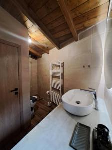 un bagno con un lavandino bianco e un water di Αυγήλιον - Private Mountain House a Synikia Mesi Trikalon