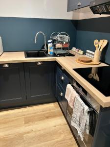 een keuken met zwarte kasten en een spoelbak bij Confort appart in Oyonnax +5 foto's