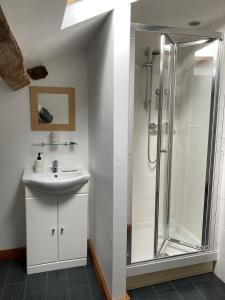 a bathroom with a shower and a sink at tillys Cottage in Folles +33 photos