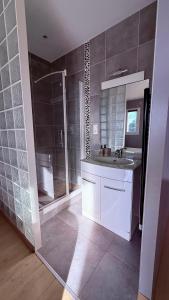 een grote badkamer met een douche en een wastafel bij Chez Patricia et Georges in Carry-le-Rouet