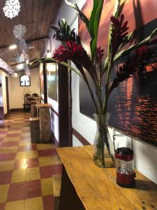 Et tv og/eller underholdning på Kamazoztz Hostel and Travel